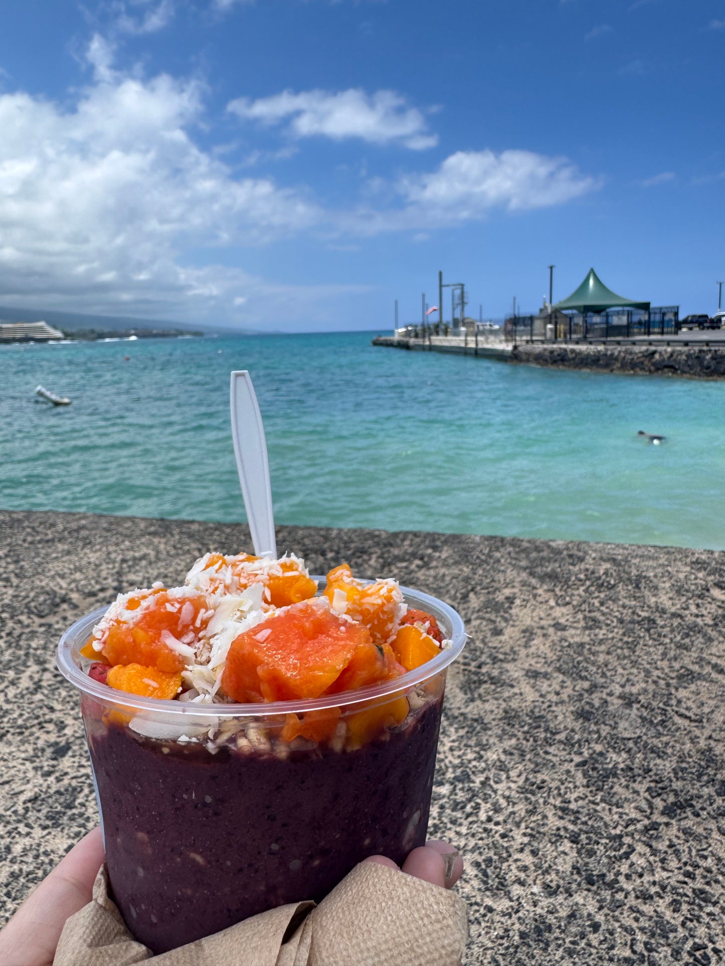 Açaí bowl (16 Oz)
